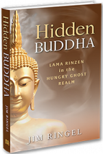hidden-buddha-3D-cover-190